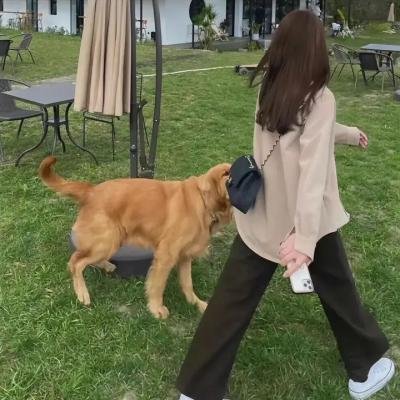 朋友请吃饭第三季 海报
